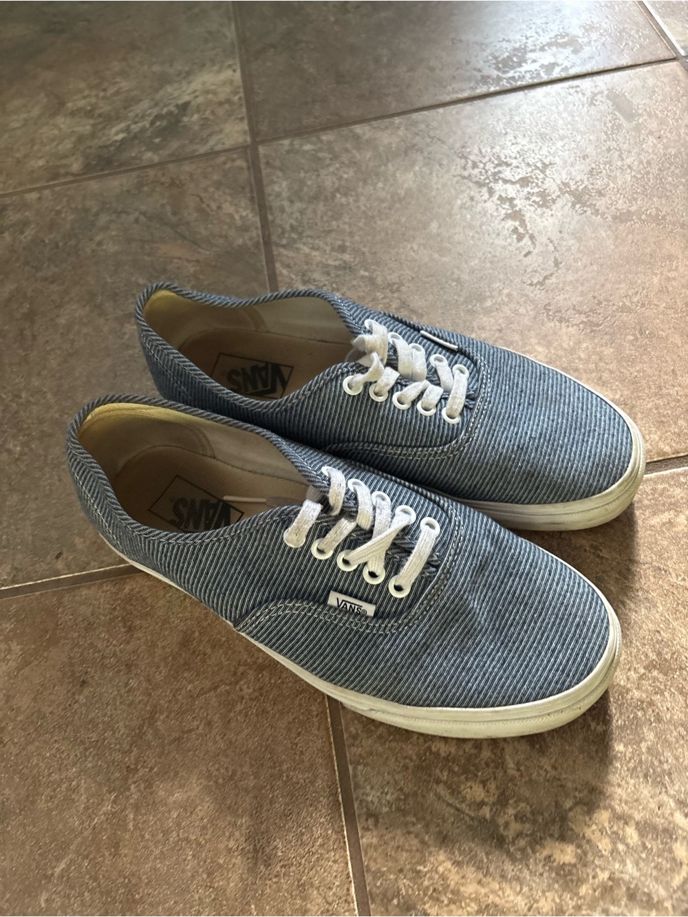 Vans Striped Blue Canvas Low-Top Sneakers
